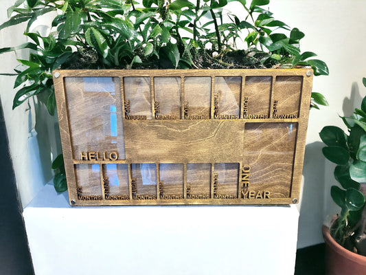 Baby's First-Year Picture Frame