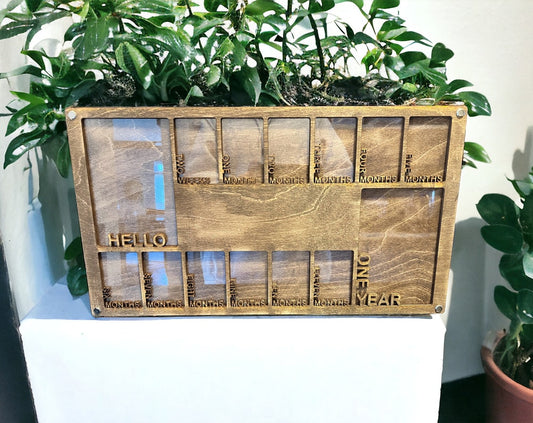 Baby's First-Year Picture Frame